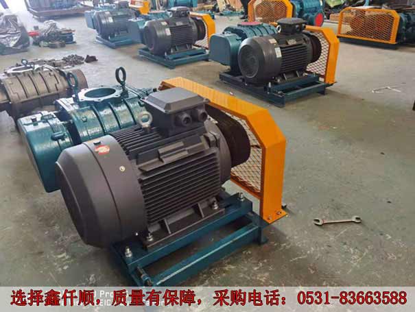 高壓羅茨鼓風(fēng)機(jī) 發(fā)貨廣西高壓羅茨鼓風(fēng)機(jī)XQSSR15030KW6臺(圖2)